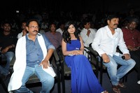 Mr Money Movie Audio Launch